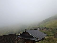 -紫鹊界梯田景区