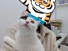 -北京恒爱动物医院(清景园分院)