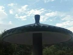 -广州市流溪河国家森林公园