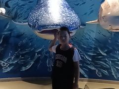 -烟台海昌鲸鲨海洋公园