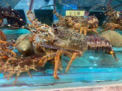 -海逸海鲜酒家(古北店)