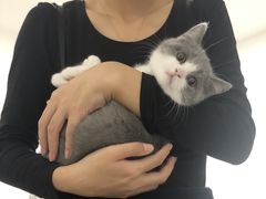 -纳吉亚猫专科动物医院博雅分院