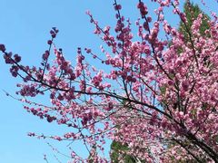 -白塘生态植物园