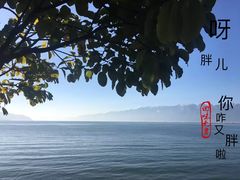-南诏风情岛
