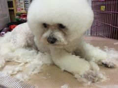 -一心烤肉(延安路店)