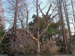 -郭沫若溧阳路旧居