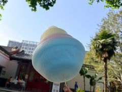 -西苑公园