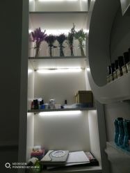 -scarlet斯卡莱美容护理机构