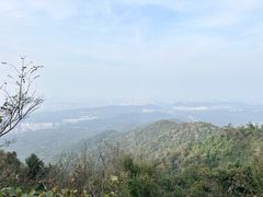 -紫金山山顶公园