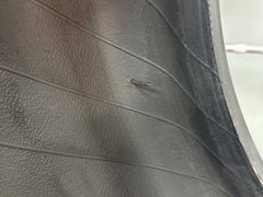 -李师傅修车(立水桥店)