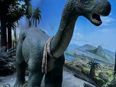 -国家自然博物馆