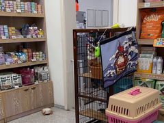 -四月宠物医院·猫专科·心脏专科·内科(转塘店)