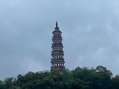 -顺峰山公园