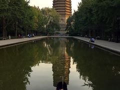 -玲珑塔公园