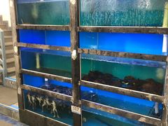 水产区-鲜味食族水产·海鲜餐厅