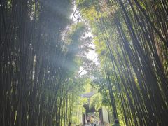 -采石矶景区
