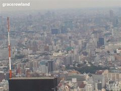 -东京都厅舍