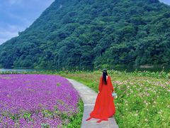 -广州市石门国家森林公园