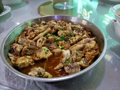 -鲤鱼塘农家山庄