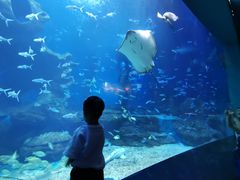 -多彩贵州城极地海洋世界