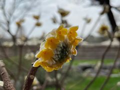 -新荣记(西溪湿地店)