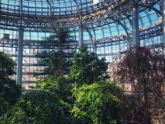 -郑州植物园