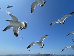-海驴岛(荣成市)