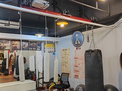 -温鉴良实用咏春拳