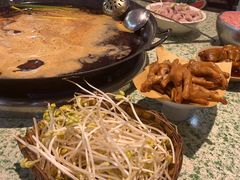 -五里关火锅(牛市口店)