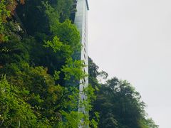 -碧峰峡风景区