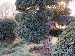 -武汉紫薇都市田园