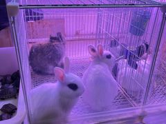 -金三角花鸟鱼综合市场-地面停车场