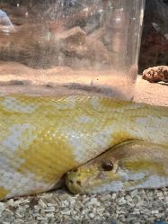 -Zoolung Zoolung动物主题公园(海信广场店)