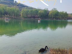 -河北省园博园