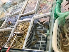 -老郑海鲜楼(天桥店)