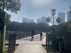 -月湖风景区