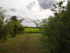-嘉北郊野公园