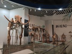 -烟台自然博物馆