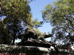 -北京国子监胡同
