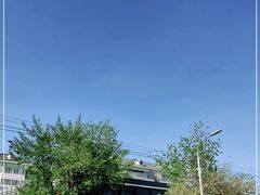 -洪记白水羊头(天坛店)