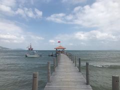 -汕尾风车岛