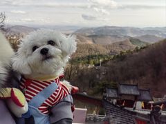 -九鼎铁刹山风景区