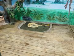 -石家庄市动物园