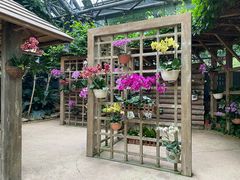 -南山植物园