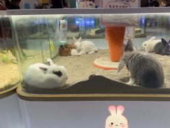 -meland亲子乐园•派对•研学(苏州悠方购物中心店)