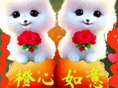 -三亚亚龙湾红树林度假酒店