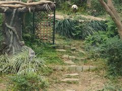 -石排湾郊野公园