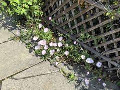 -梁鸿国家湿地公园