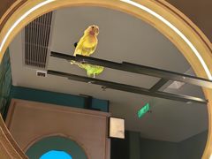 -小菜园新徽菜(青岛市南万象城店)