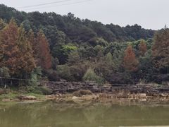 -铁山坪森林公园